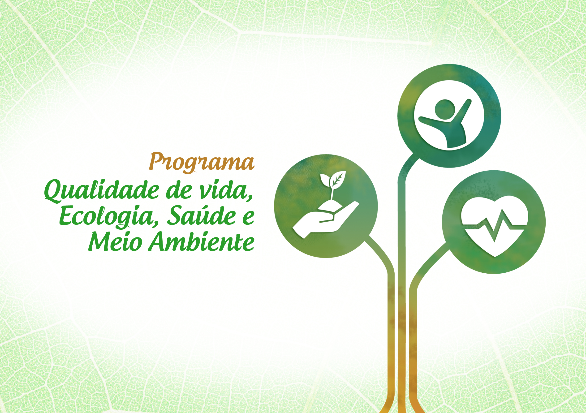 Vinheta Nova