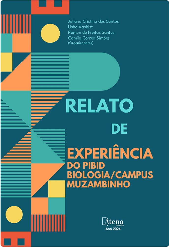 Capa e book
