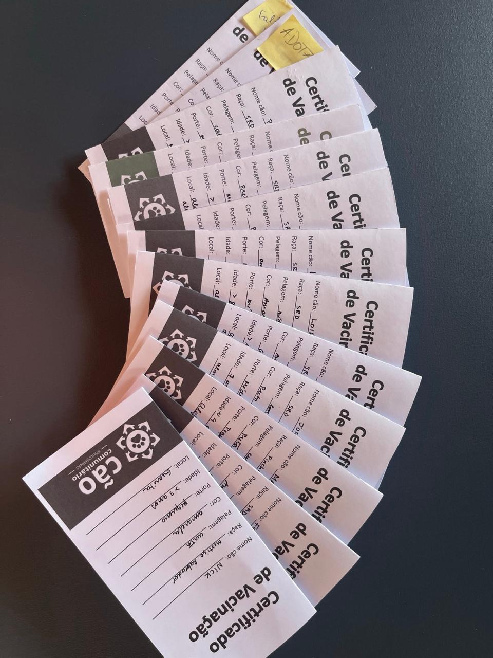 Carteiras vacinação 2